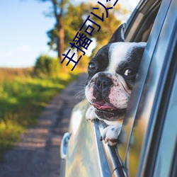 主播可以空(kōng)降(jiàng)的直播(bō)平台