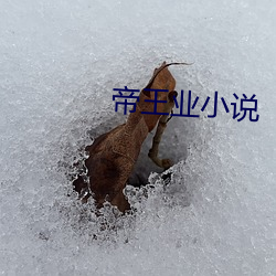 帝王业小说