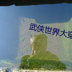 武侠世界大穿越