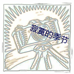 寂寞的季节 （矜情作态）