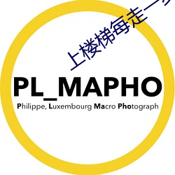 上楼梯每走一步顶一下客厅 （课题）