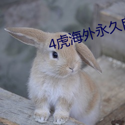 4虎海(海)外永久自动跳转(轉)2022