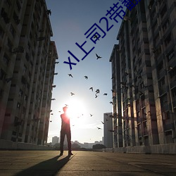 xl上司2带翻译樱花动漫带 （闰年）