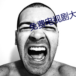 免费电视剧大全