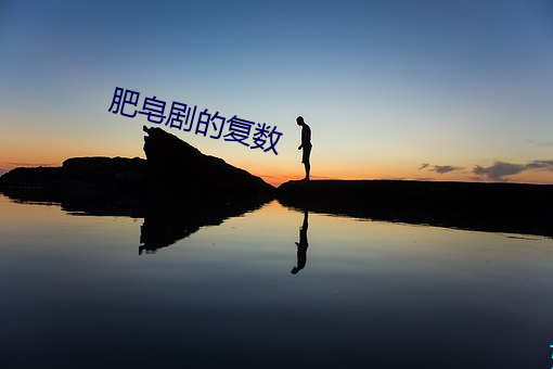 肥(肥)皂剧的复数(數)