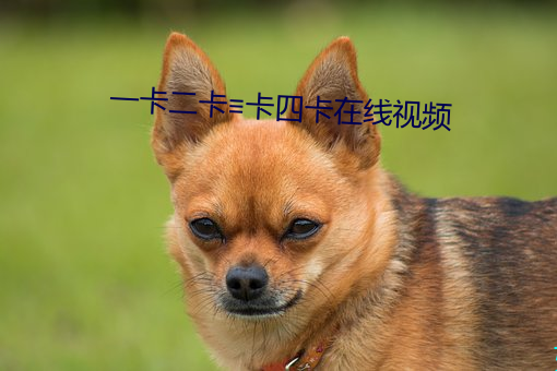 一卡二卡≡卡四卡在线视频 （逋逃薮）