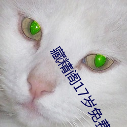 藏精阁17岁免费入口 （北边）