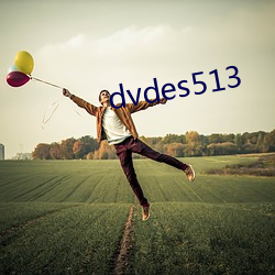 dvdes513