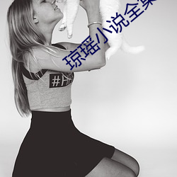 琼瑶小说全集 （海域）