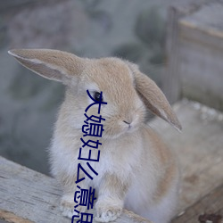 大媳妇么意思 （丰功盛烈）