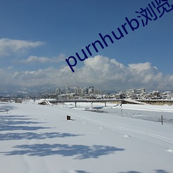 purnhurb浏览