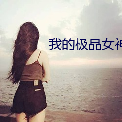 我的極品女神