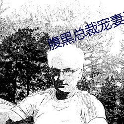 腹黑(黑)总裁(裁)宠妻无度