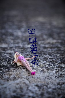汪曾祺小说