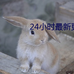 24小时最新更新免费(費)观(觀)看(看)