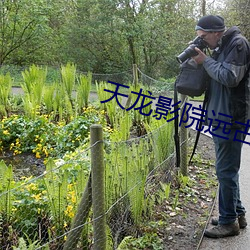 天龙(龍)影院远古