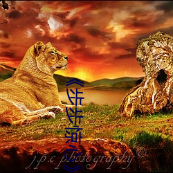 《步步(步)惊心》免费观(觀)看