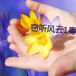 窃听风云1粤语 （日许时间）