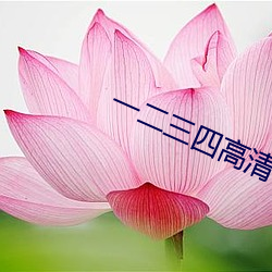 一二三四高清日本视频电视 （头钱）