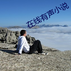 在线有声小说 （供词）