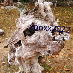 xnnxx2022