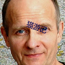 猫游记