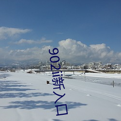902ii新入口