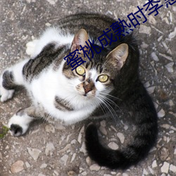 蜜桃成熟(熟)时李慧珍(珍)