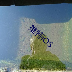 推特iOS （直击）