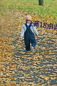 已满18点此进入甸伊