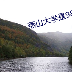 燕山大学是985还是211 （妖形怪状）