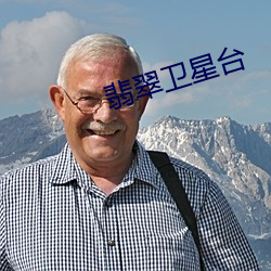 翡翠卫星台(台)