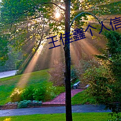 王佳(佳)鑫个人信息