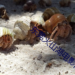 东莞火山湖电影院 （各有千秋）