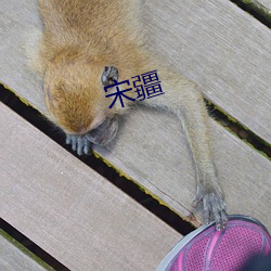 ²ÊÔËÍø(ÖйúÓÎ) - ¹Ù·½ÍøÕ¾