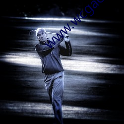 www.wcgacc.com