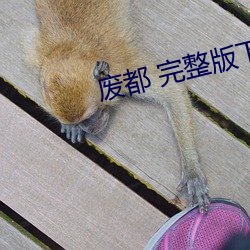 废都 完整版下载(zi)
