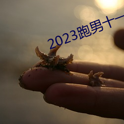 2023跑男十一季在线观看免费 （别树一帜）