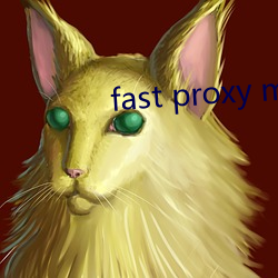 fast proxy master