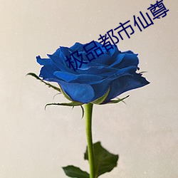 极品都市仙(仙)尊(尊)