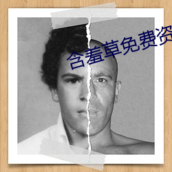 含羞草免费资源视频观看在线