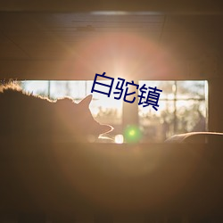 白驼镇