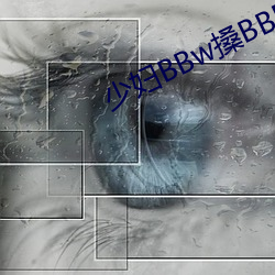 少妇BBw搡BBBB搡BBBB
