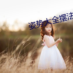 姿势大全摆法图解小人图