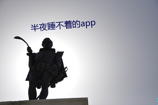 半夜睡不着的app （分体）