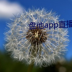 盤他app直播下載戶外