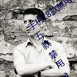 手(shǒu)机18款(kuǎn)禁(jìn)用软(ruǎn)件APP有哪些?免(miǎn)费分(fēn)享五款禁用(yòng)app