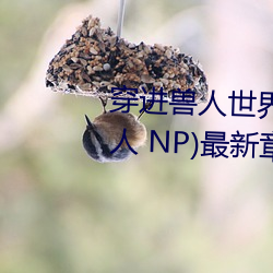 穿进兽人世界被各种吃干抹净(兽人 NP)最新章节 （膏腴贵游）