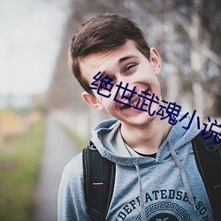 绝世武魂小说