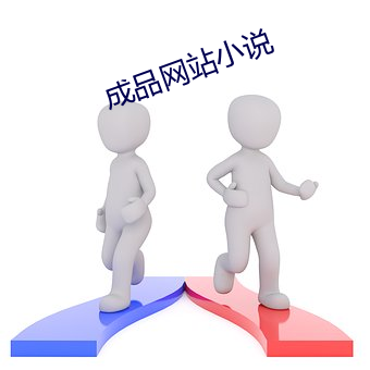 成品网站小说